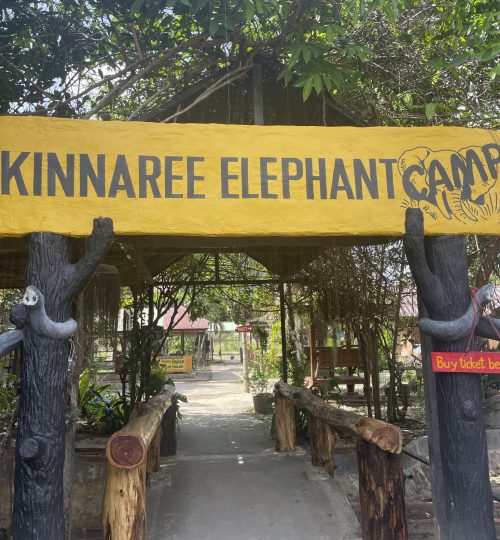 Kinnaree Elephant Camp